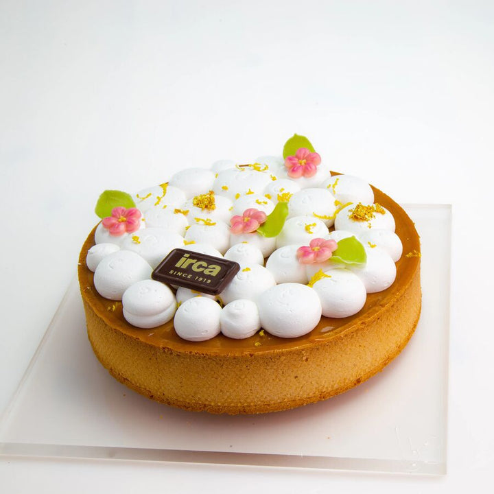 Irca | Top cake gluten free | Cake mix | 10kg