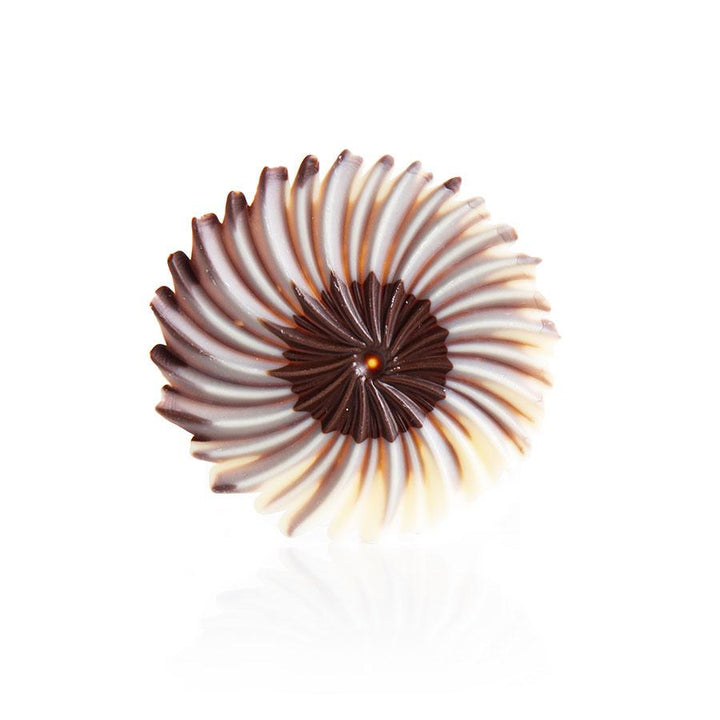 Dobla | Dark and white chocolate rosette | 30 pieces