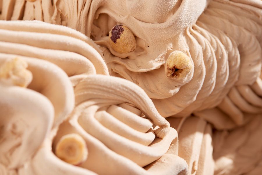 Vegan white chocolate & hazelnut praline