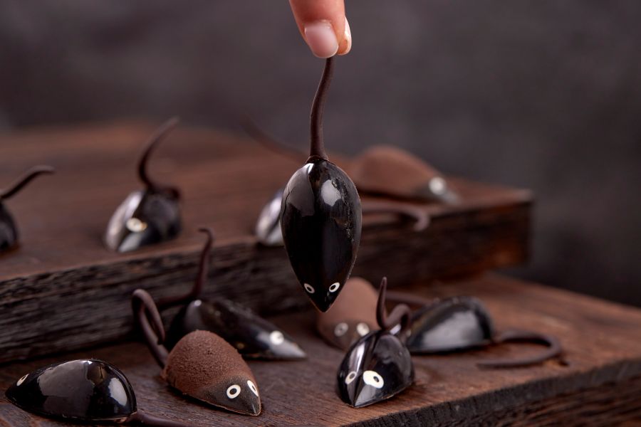 Vegan chocolate mushroom mice