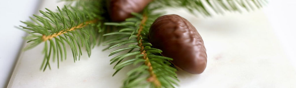 Belcolade plant based chocolate pine fruit demo