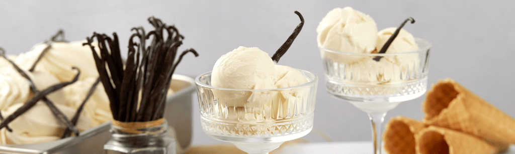 Premium vanilla ice cream