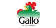 Gallo