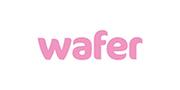 Wafer