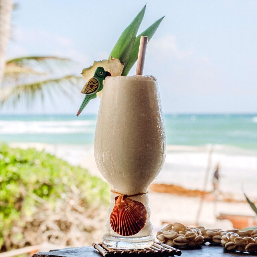Boiron coconut cream - 1L