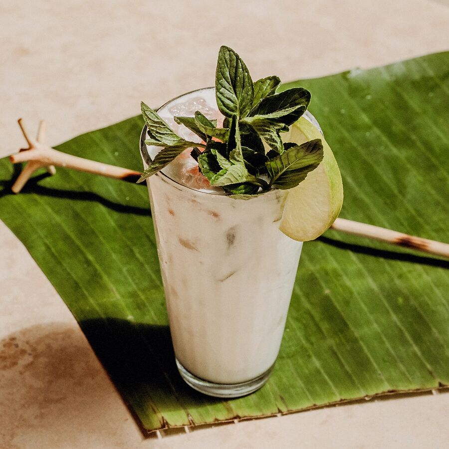 Boiron coconut cream - 1L