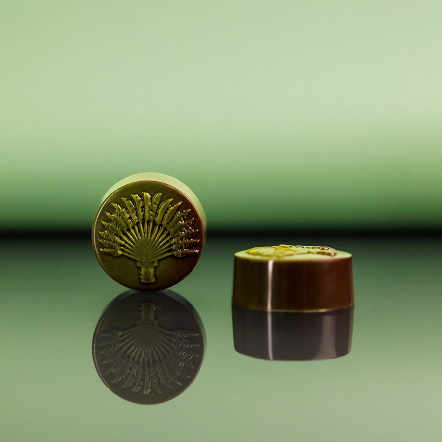 Chocolate World 21-cavity 11g Traveller's Tree chocolate mould - 31 x 31mm