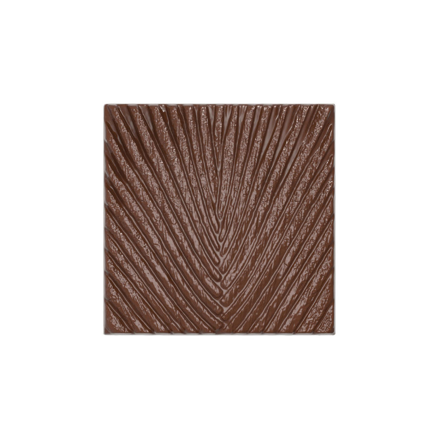 Chocolate World 2-cavity 81.5g Traveller's Tree tablet chocolate mould - 100 x 100mm
