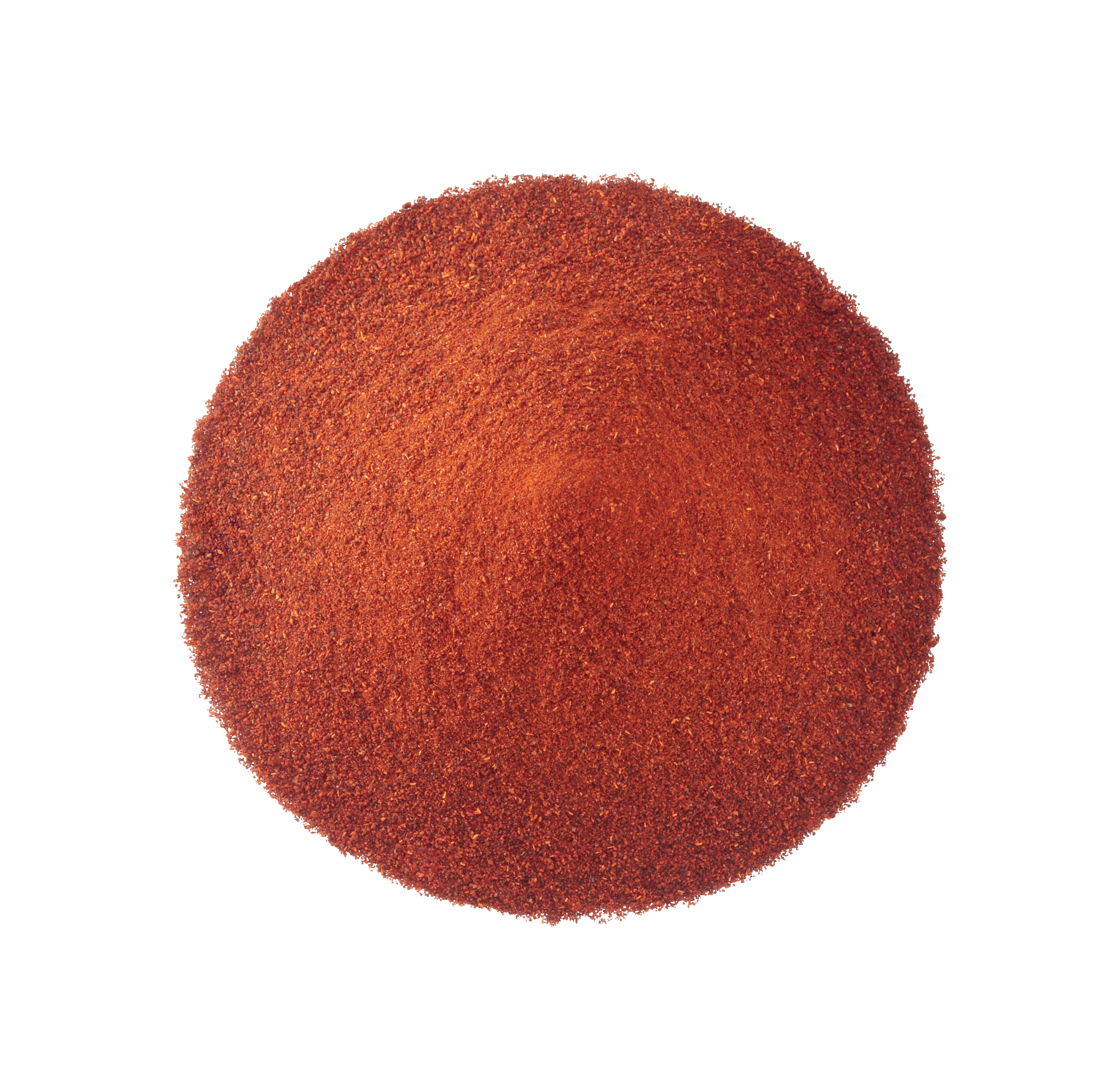 ofi professional chilli powder - 480g