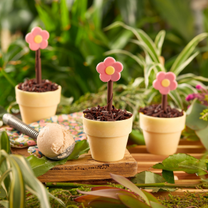 Chocolate décor to add a delightful finishing touch!