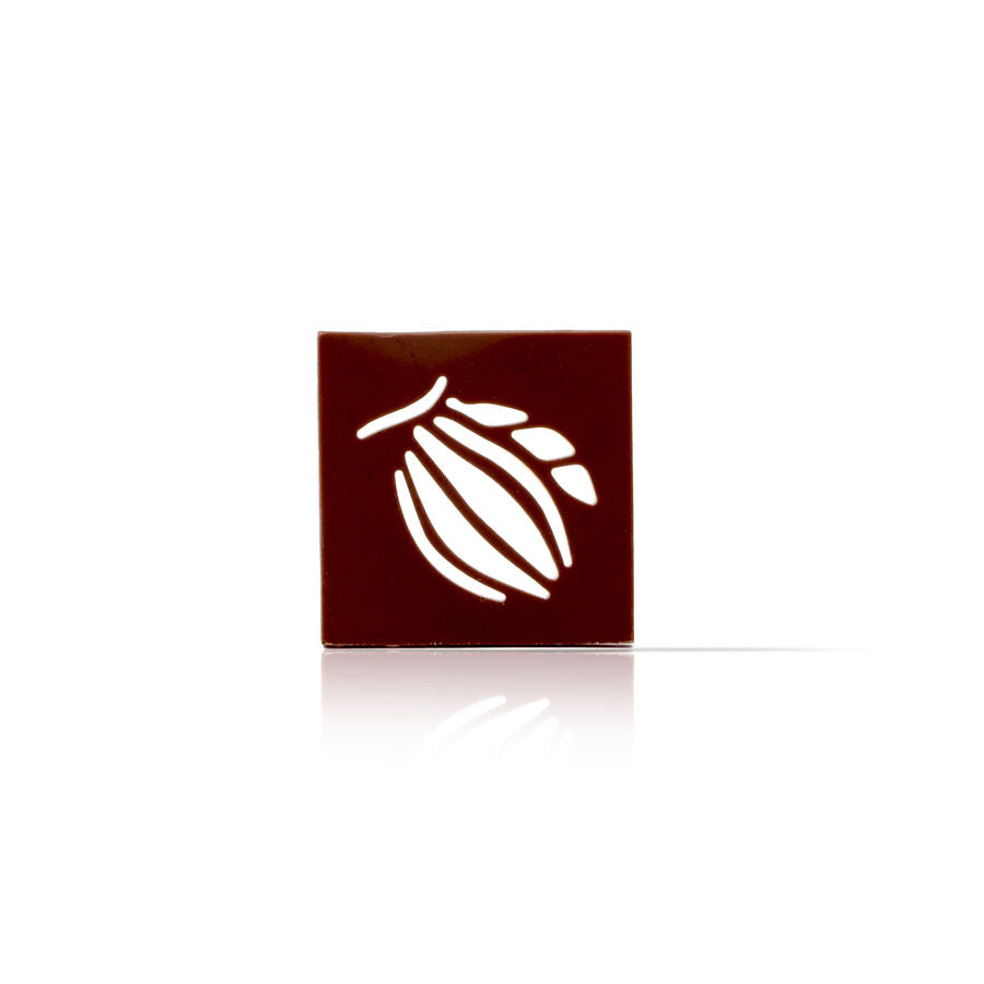 Dobla lace square cacao pod  