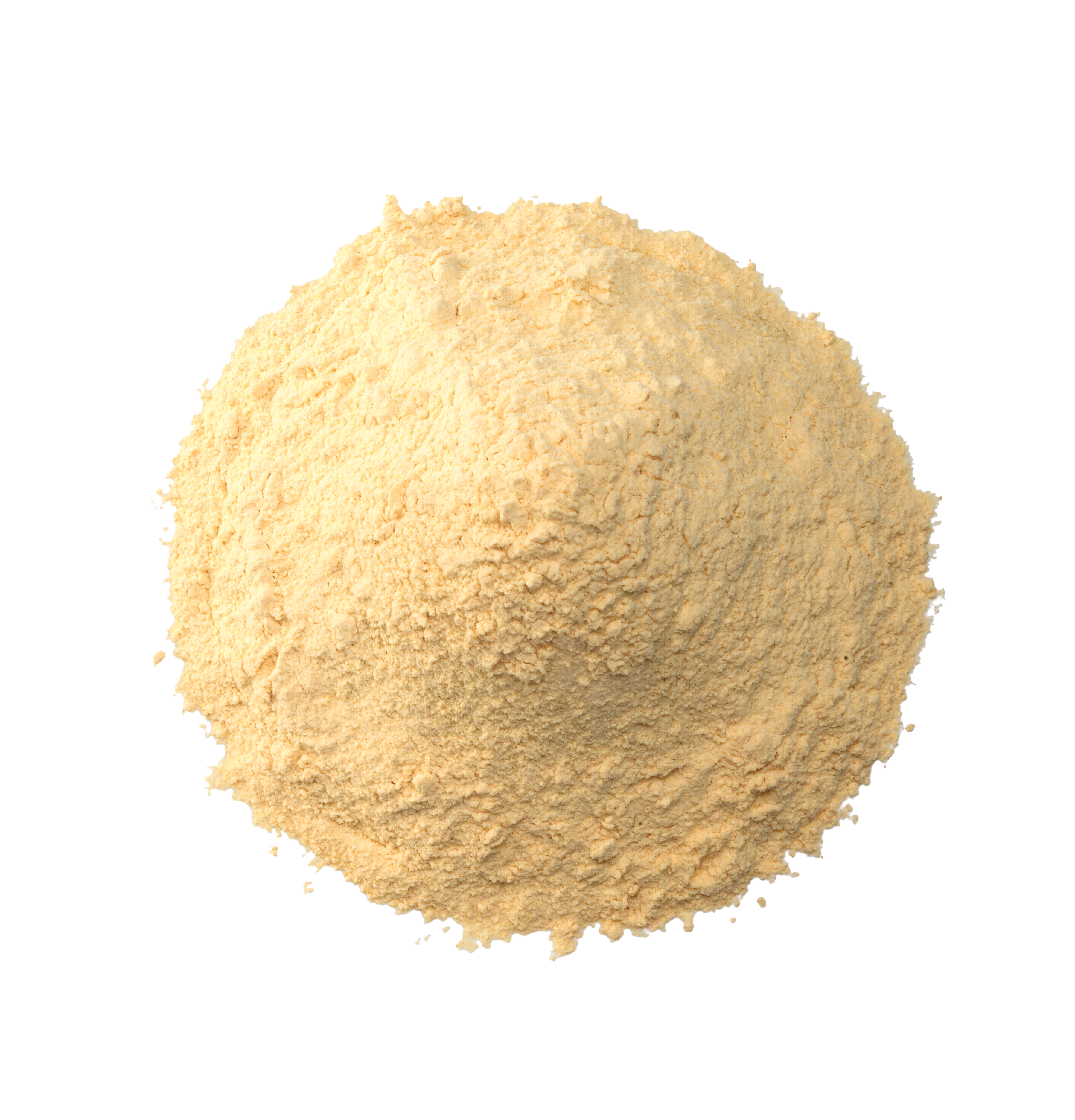 ofi professional garlic powder - 500g