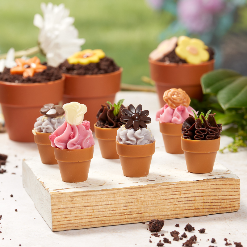 Chocolate décor to add a delightful finishing touch!