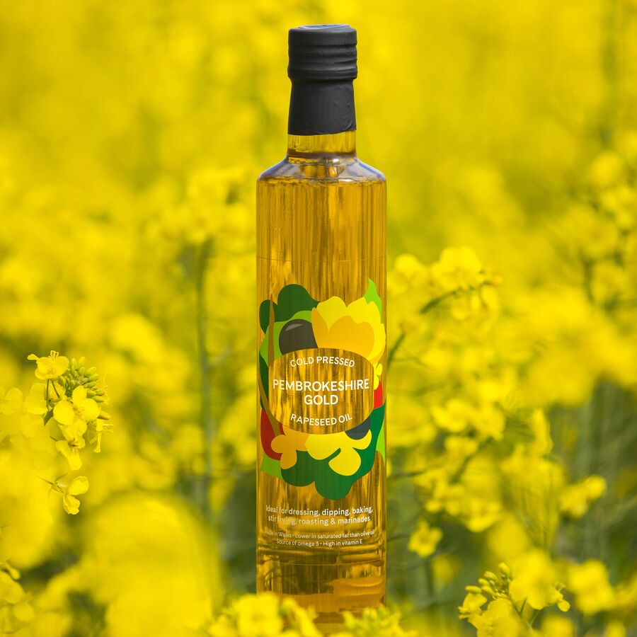 Pembrokeshire gold original welsh cold pressed rapeseed oil - 500ml & 5 litres