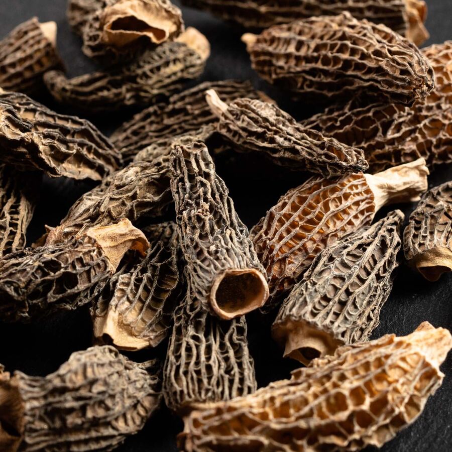 Roi des montagnes dried morel extra premium - 25g