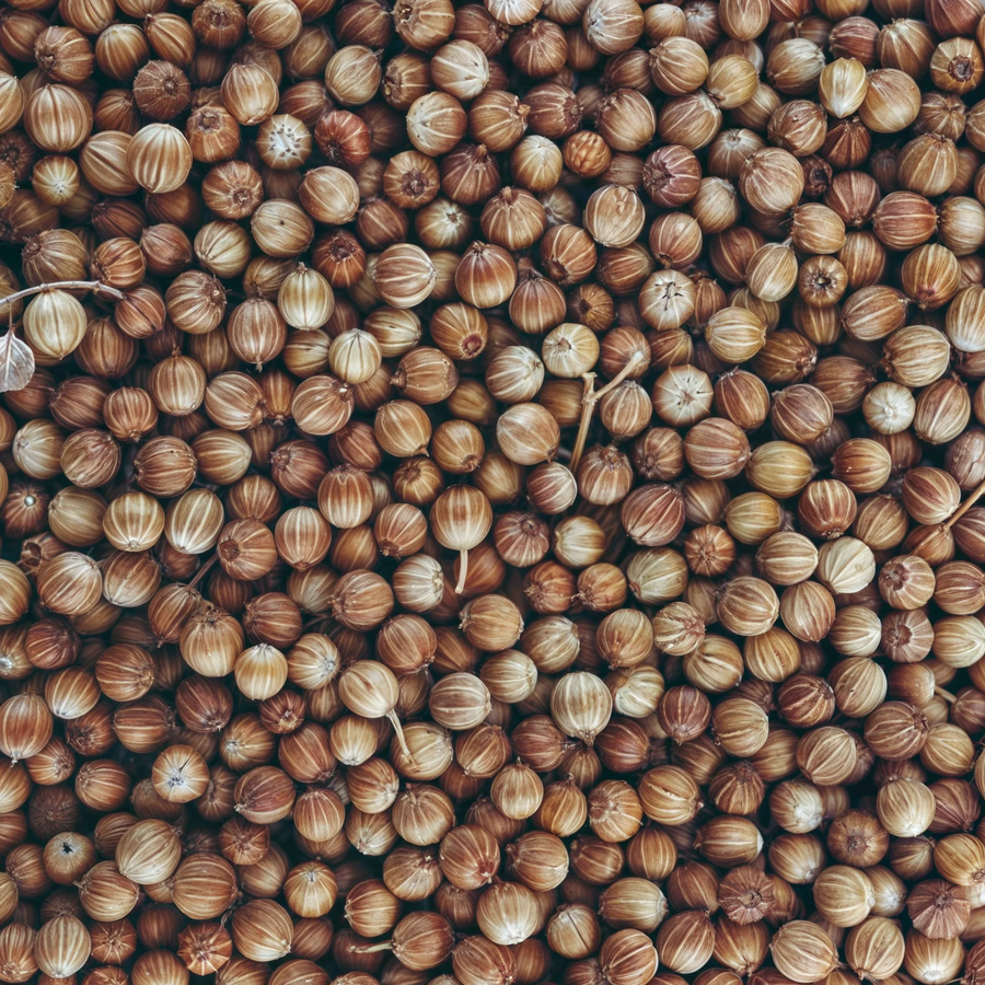 Soc chef coriander seeds - 150g