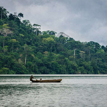 origins_LaitCameroon45CT_1012x1012.jpg__PID:f800d2eb-71ea-402e-bc5f-2ba5ec41342c