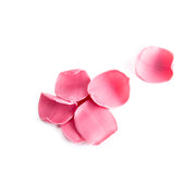 Dobla pink coloured white chocolate rose petal - 150 pieces
