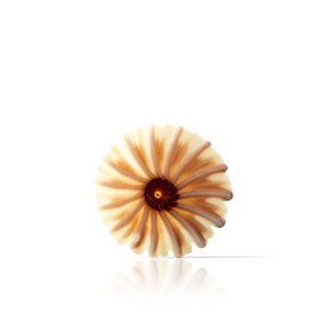 Dobla | White chocolate brown and white coloured rosette | 108 pieces