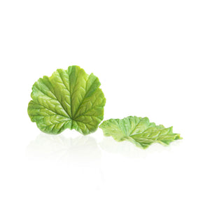 Dobla | Green coloured white chocolate spring leaf | 24 pieces